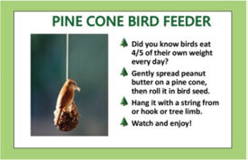 Pine Cone Bird Feeder