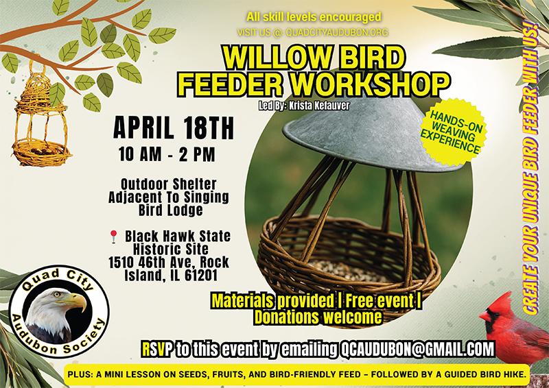 Willow bird feeder workshop